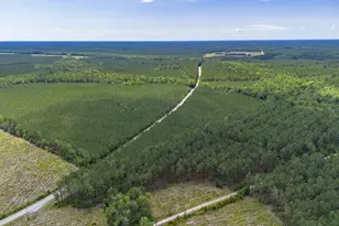 Tract A Ten Acre Rd, Andrews, SC 29510 - Photo 1