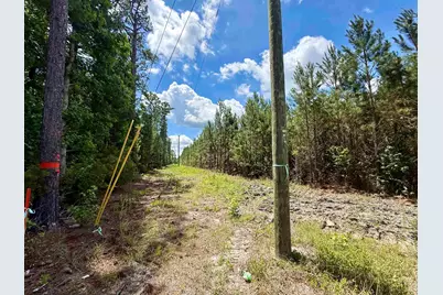 83.03 Acres - Birch Creek Rd., Andrews, SC 29510 - Photo 17