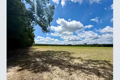 83.03 Acres - Birch Creek Rd., Andrews, SC 29510 - Photo 23