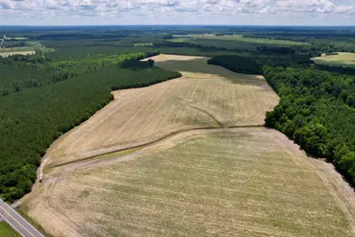 83.03 Acres - Birch Creek Rd., Andrews, SC 29510 - Photo 1