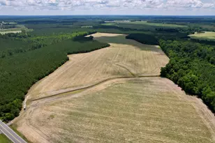 83 03 Acres - Birch Creek Rd, Andrews, SC 29510 - Photo 1