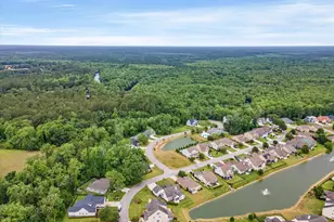 849 Tilly Lake Rd, Conway, SC 29526 - Photo 39
