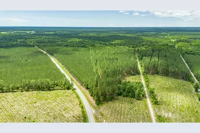 Tract D Ten Acre Rd., Andrews, SC 29510 - Photo 3