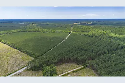 Tract D Ten Acre Rd., Andrews, SC 29510 - Photo 5