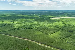 Tract E Ten Acre Rd, Andrews, SC 29510 - Photo 1
