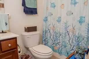 791 Painted Bunting Dr, Murrells Inlet, SC 29576 - Photo 77