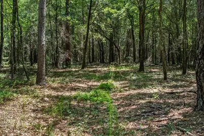 Tbd 5.3 Acres Springtown Rd, Bamberg, SC 29003 - Photo 5