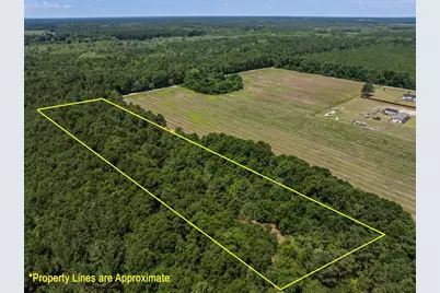 Tbd 5.3 Acres Springtown Rd, Bamberg, SC 29003 - Photo 9