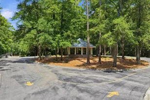 61 Pigeon Forge Ct, Murrells Inlet, SC 29576 - Photo 95