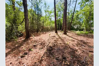 Tbd Oak St., Georgetown, SC 29440 - Photo 7