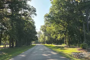 4502 Firethorne Dr, Murrells Inlet, SC 29576 - Photo 67