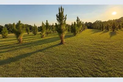4275 Poston Corner Rd., Johnsonville, SC 29555 - Photo 13