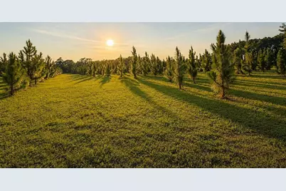 4275 Poston Corner Rd., Johnsonville, SC 29555 - Photo 7