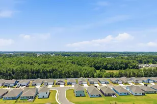 303 Ridley St, Longs, SC 29568 - Photo 47