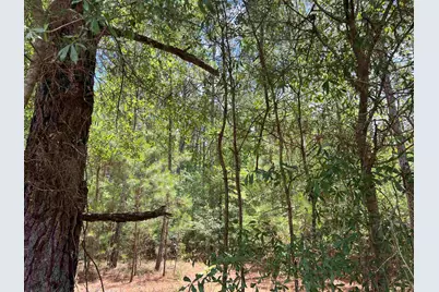 Tbd Ervin Road Ervin Rd., Andrews, SC 29510 - Photo 3