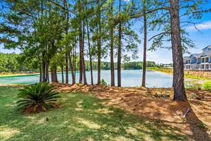 158 Shady Arbor Loop, Longs, SC 29568 - Photo 47