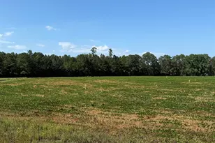 Tbd Dupont Rd, Aynor, SC 29511 - Photo 1
