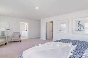 8052 Panda Bear Way, Conway, SC 29526 - Photo 17