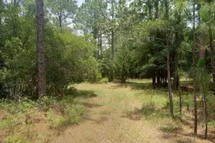 Lot 1038 Kilsock Dr, Georgetown, SC 29440 - Photo 1