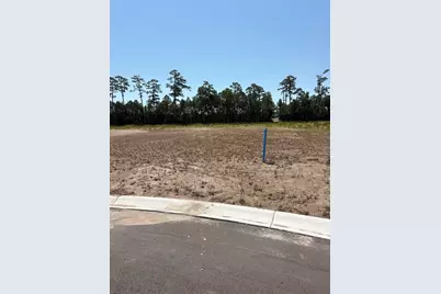 459 Pompano Court, Myrtle Beach, SC 29577 - Photo 3