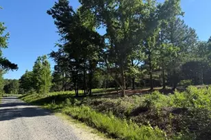 491 Crow Ln, Pageland, SC 29728 - Photo 1