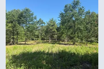 491 Crow Ln., Pageland, SC 29728 - Photo 5