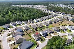 405 Black Cherry Way, Conway, SC 29526 - Photo 41