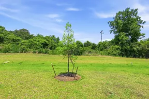 284 Long Beard Way, Longs, SC 29568 - Photo 25