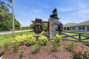 284 Long Beard Way, Longs, SC 29568 - Photo 31