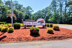 110 Berry Tree Ln, Conway, SC 29526 - Photo 21