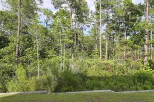 2618 Muhly court, Conway, SC 29526 - Photo 25