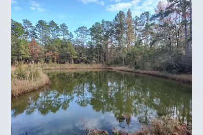 1804 Old Town Ave., Georgetown, SC 29440 - Photo 5
