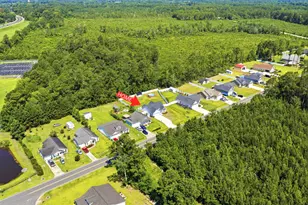 217 Perrin Rd, Loris, SC 29569 - Photo 31