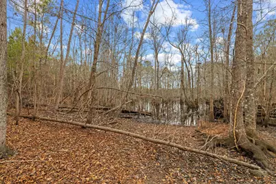 Tbd 183 Acres Blakely Rd., Salters, SC 29590 - Photo 7