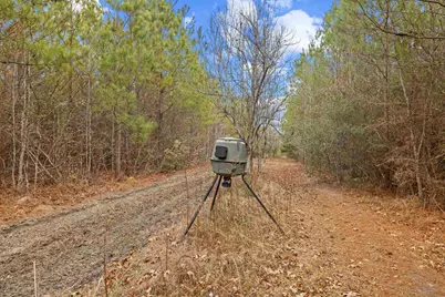 Tbd 183 Acres Blakely Rd., Salters, SC 29590 - Photo 3