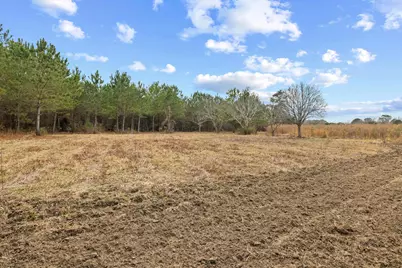 Tbd 183 Acres Blakely Rd., Salters, SC 29590 - Photo 11