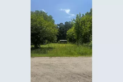 3216 Old Nelson Rd., Conway, SC 29526 - Photo 1