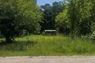 3216 Old Nelson Rd, Conway, SC 29526 - Photo 1