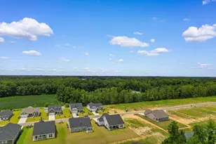867 Birch Gdn Dr, Longs, SC 29568 - Photo 47