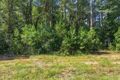4107 Highway 378, Conway, SC 29527 - Photo 3