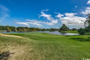 44 Aberdeen Way, Pawleys Island, SC 29585 - Photo 65