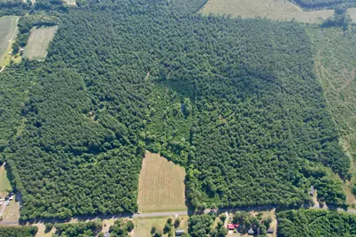 101.49 Acres - Epps Rd., New Zion, SC 29111 - Photo 13