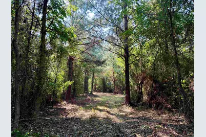 101.49 Acres - Epps Rd., New Zion, SC 29111 - Photo 7