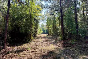 101 49 Acres - Epps Rd, New Zion, SC 29111 - Photo 1