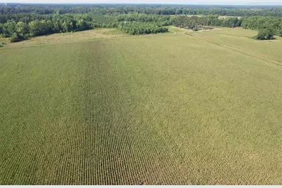 24.36 Acres - Newman Swamp Rd, Lamar, SC 29069 - Photo 11