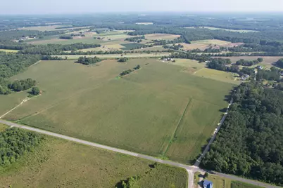 24.36 Acres - Newman Swamp Rd, Lamar, SC 29069 - Photo 3