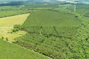 Tbd Ten Acre Rd, Andrews, SC 29510 - Photo 1