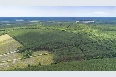 Tract F Ten Acre Rd., Andrews, SC 29510 - Photo 3