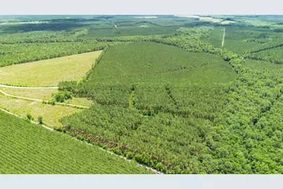 Tbd Ten Acre Rd., Andrews, SC 29510 - Photo 1