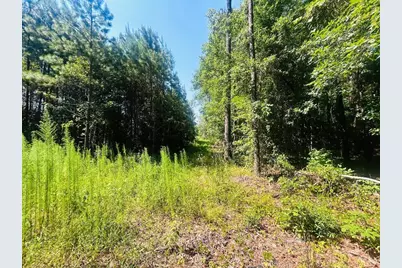 18.58 Acres - Turkey Ln, Kingstree, SC 29556 - Photo 7